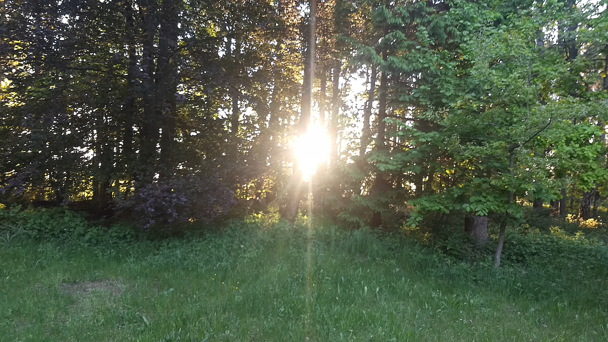 Sonnenuntergang Miteinander-Füreinander-in der Trauer, 26.4.22